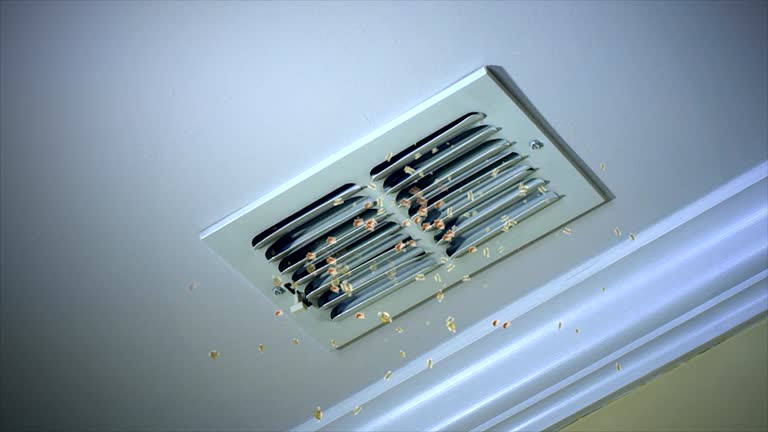 Best Best Air Duct Cleaning Company  in Slater, IA