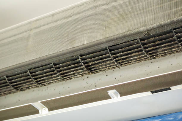 Best HVAC Duct Inspection Services  in Slater, IA